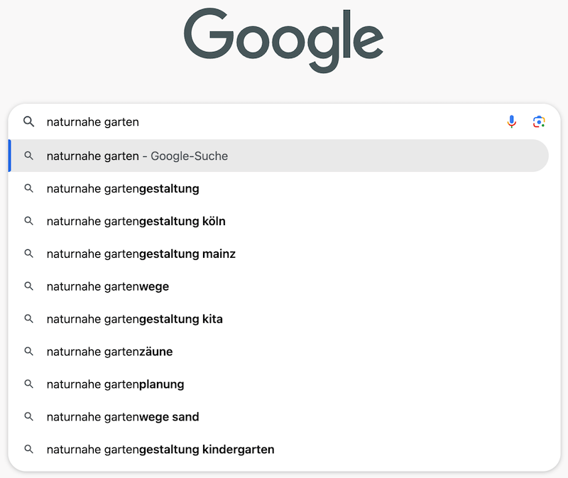 screenshot-google-suche-eingabemaske